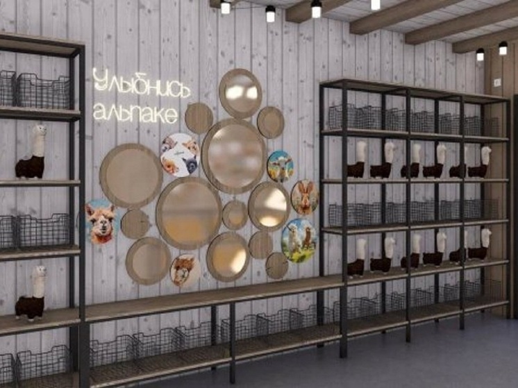 В ЦПКиО Волгограда облагородят вход в зону с альпаками