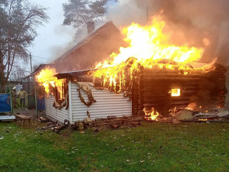 Одиннадцать пожарных четыре часа тушили баню и дом в Парфинском округе