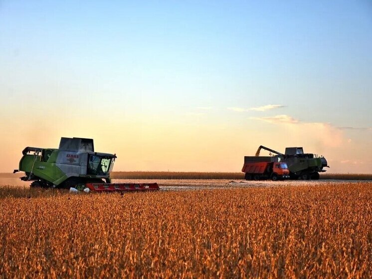 Павел Малков: Рязанские аграрии собрали свыше 3 миллионов тонн зерна