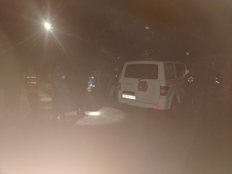 Заблудившуюся бабушку спас ночной поиск в болотах Владимирской области