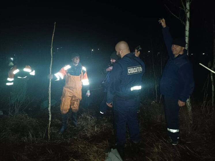 Под Владимиром спасатели нашли тело мужчины