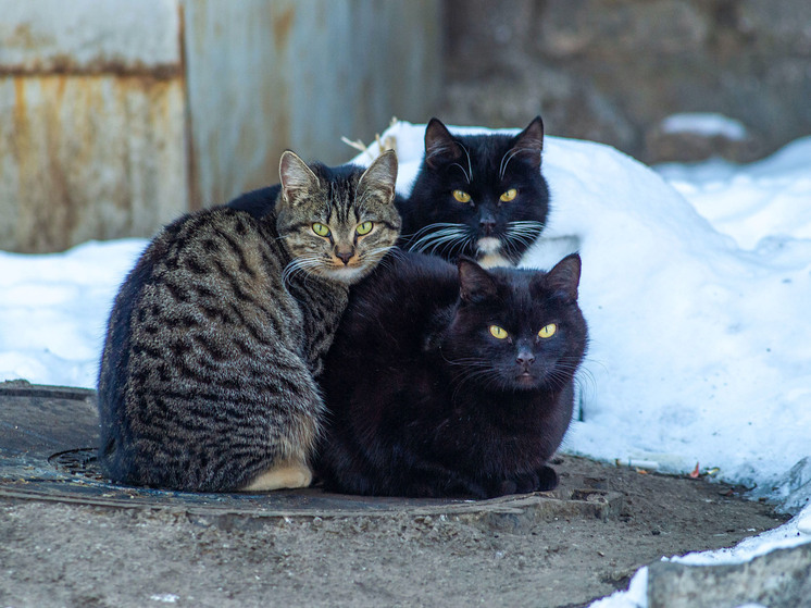 Приметы на 9 ноября 2025 года: что нельзя делать