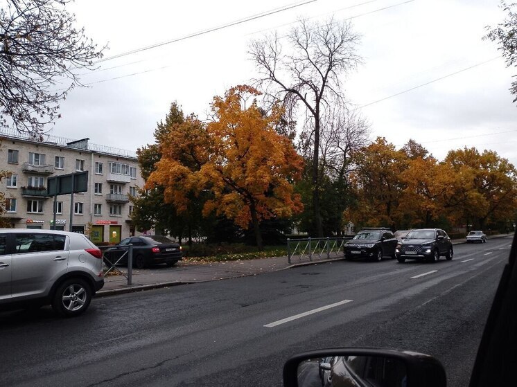 Ленинградцев ждут дожди и до +9 градусов 9 ноября