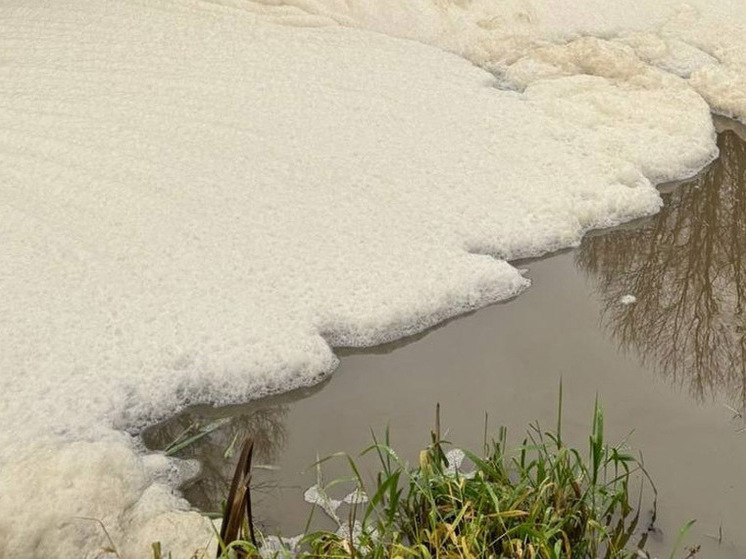 Владимирские прокуроры выясняют причины загрязнения реки Пекша