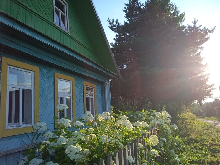 Lawyer Mandzhieva: Commercial construction is prohibited on dacha plots.