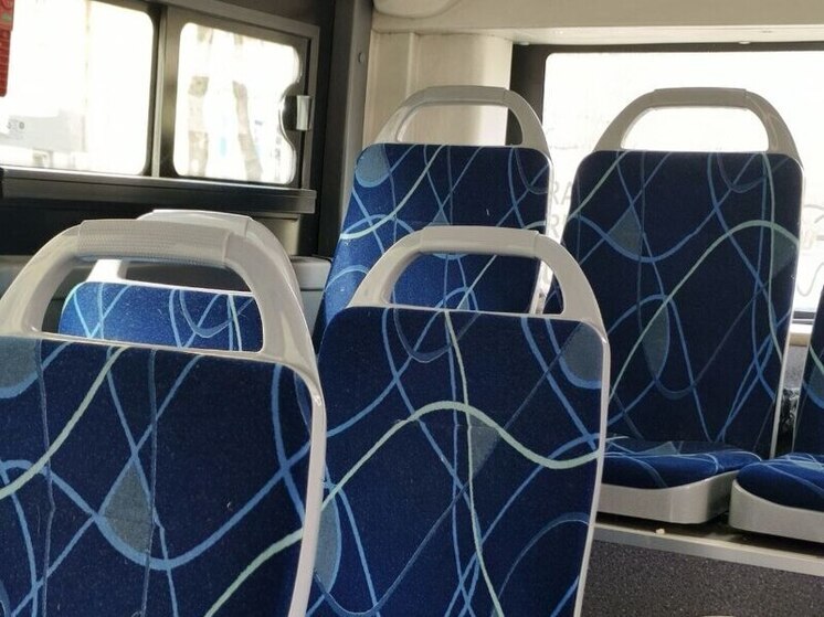 В Октябрьском районе Приамурья автобус осматривал контролер без квалификации