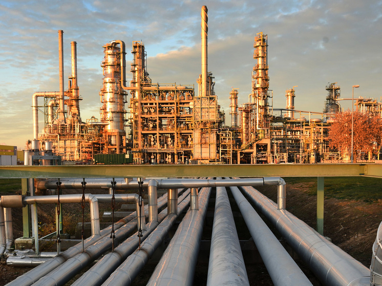 В РАСПП объяснили, что будет дальше с российским экспортом нефти в Индию