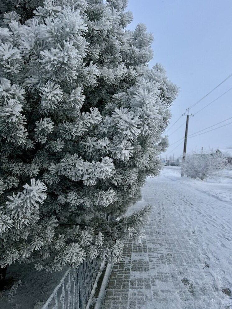 Синоптики предупредили о резком похолодании до -19 градусов в Новосибирской области