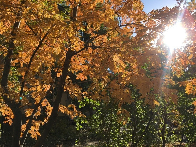Погода разрешит саратовцам выйти на улицу в легкой куртке