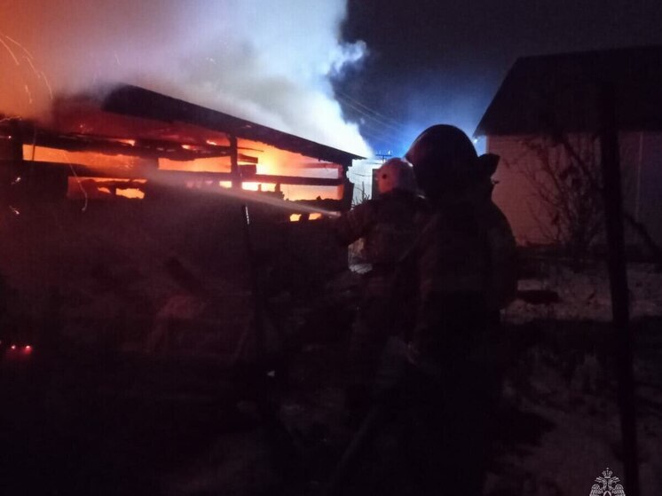 Два крупных пожара в частном секторе потушили за ночь в Алтайском крае