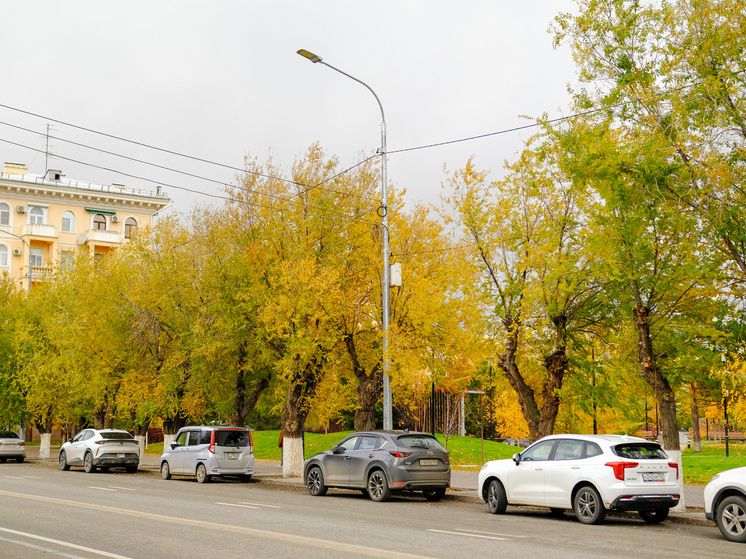 Волгоградцам назвали среднюю стоимость автомобиля без пробега