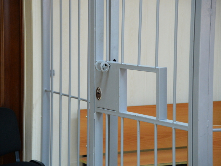 РИА: На Диану Логинову (Наоко) составили новый административный протокол