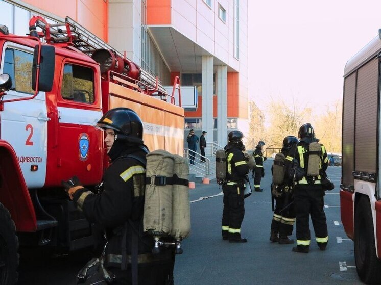 Новые возгорания сухой растительности зафиксировали в Приморье
