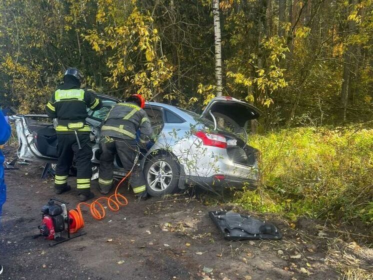 Ленинградские спасатели за сутки выезжали на 11 вызовов