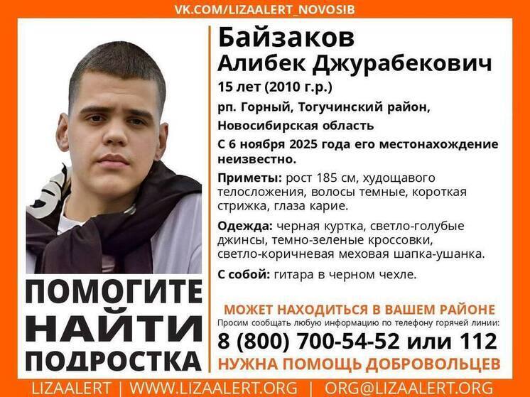 В Тогучинском районе разыскивают пропавшего 15-летнего подростка