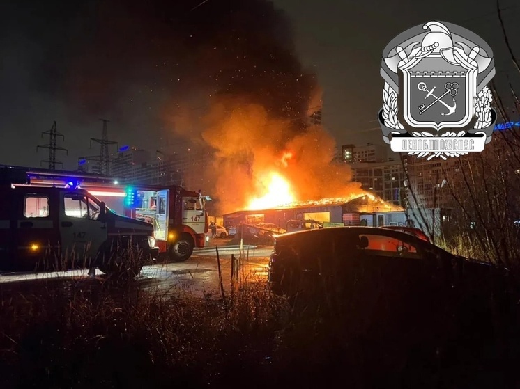 В Мурино сгорел ангар автосервиса с машинами