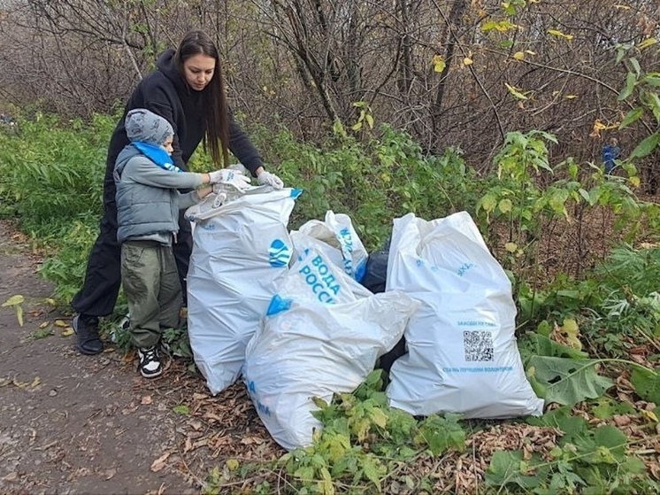 Более 12 тысяч жителей Красноярского края приняли участие в масштабной очистке берегов водоемов