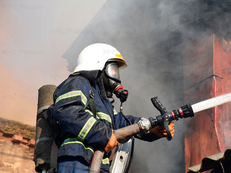 Спасатели потушили пожар в брянском поселке Белые Берега