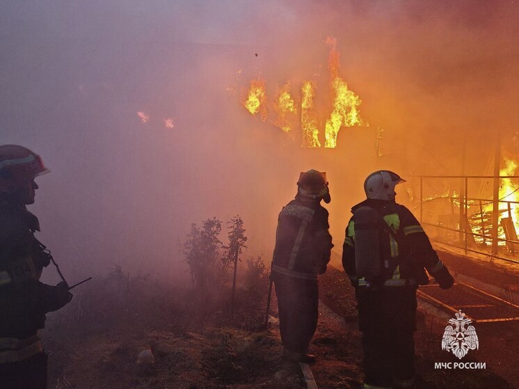 В тульском поселке Овсянниково потушили горящий магазин
