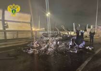 Выяснились некоторые детали о выживших пассажирах сгоревшего в ДТП «Ламборджини Урус» на Международном шоссе в ночь на воскресенье