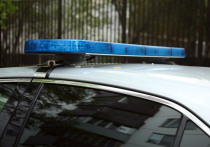 Автомобиль, скрывавшийся от полиции, врезался в бар в Тампе (США), в результате чего погибли 4 человека и 11 получили ранения