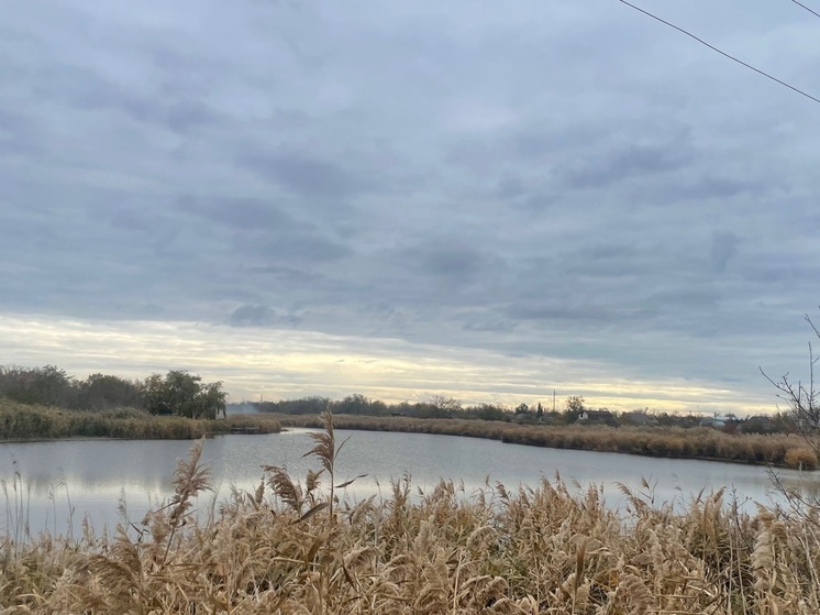 В Ростовской области с 15 ноября вводится сезонный запрет на рыбную ловлю