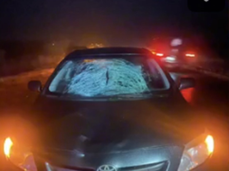 Toyota Corolla насмерть сбила пешехода в Курганской области