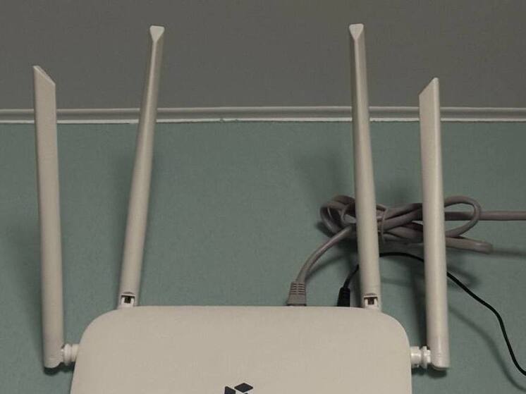 В Мурманске создадут закрытую сеть для телемедицинских консультаций за 7,5 млн рублей