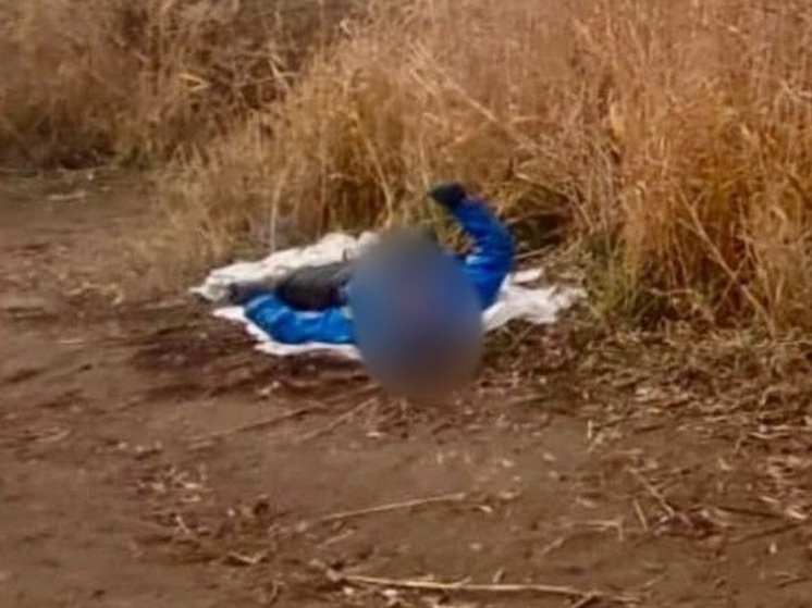 В Волгоградской области нашли мертвым пропавшего рыбака