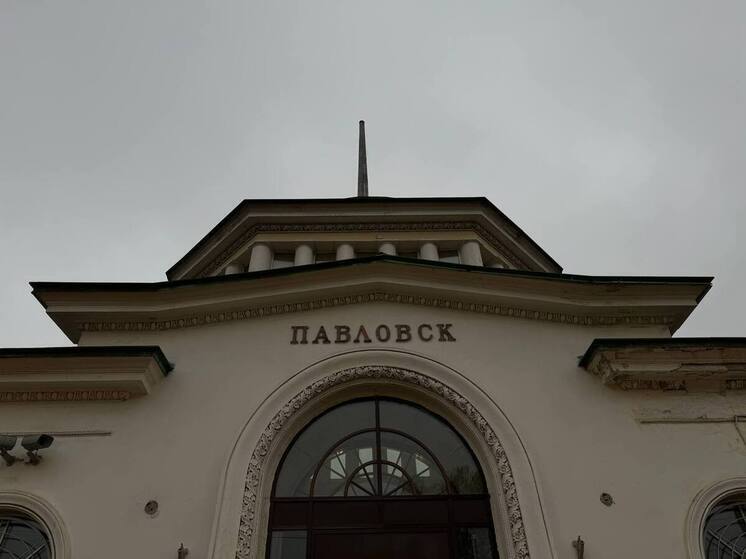 На улицах Павловска установят елки и световые фигуры за 3 миллиона