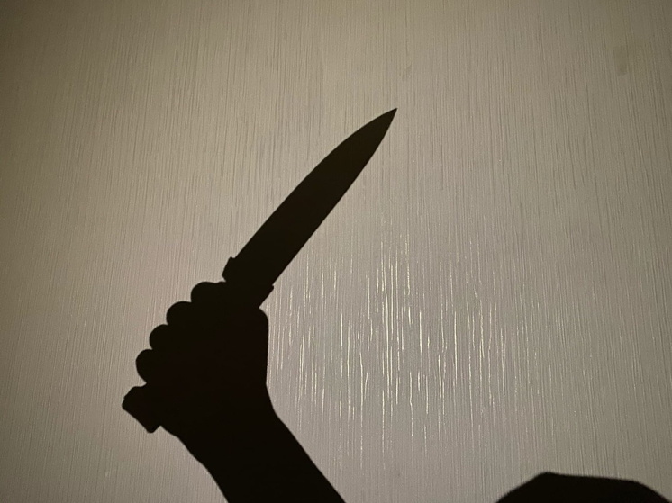 В полиции назвали омские округа с самой высокой криминальной активностью