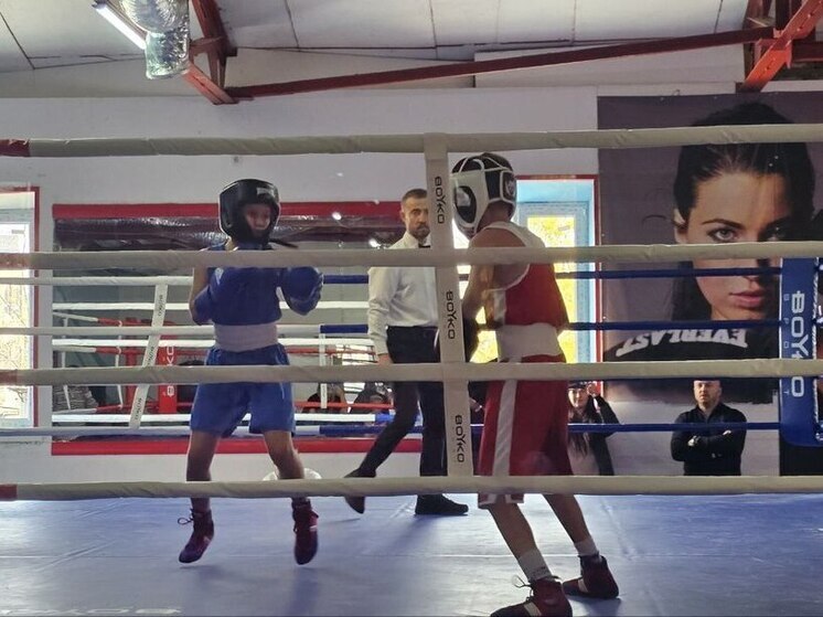 В Мариуполе прошёл масштабный турнир по боксу в память о погибших сотрудниках ОВД