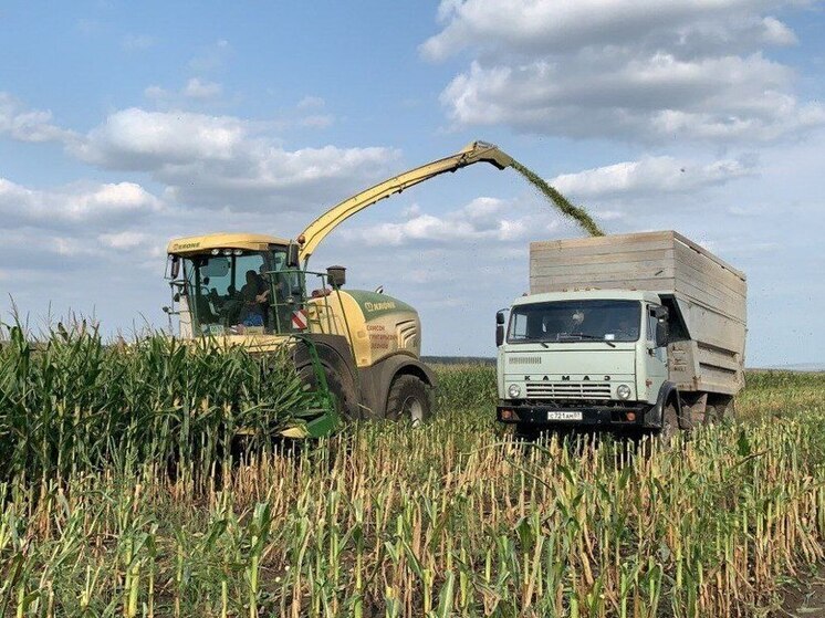 Предгорный округ завершил заготовку кормов