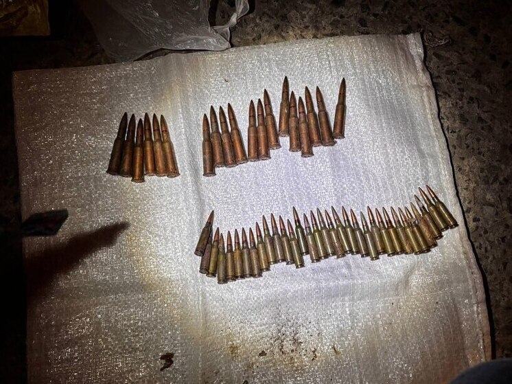 У жителя Северодонецкого округа изъяли несколько десятков патронов