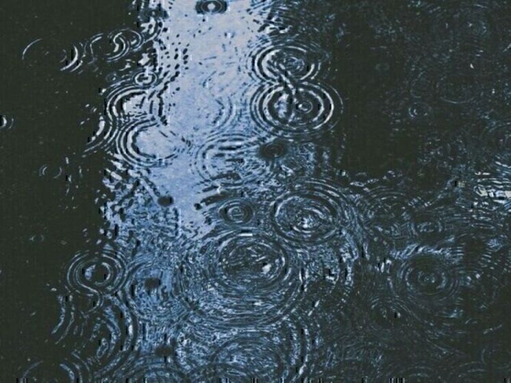 В Курске ожидаются дожди и туман в понедельник