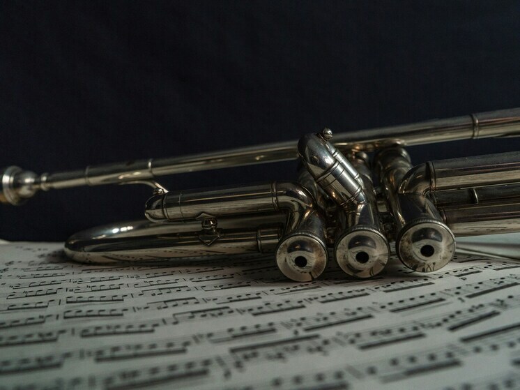 Минкульт Липецкой области организует творческую смену для музыкантов-духовиков