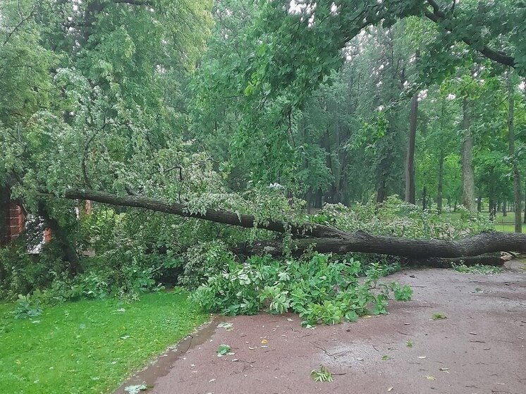 В Мурманской области неделя начнется с крышесносного ветра