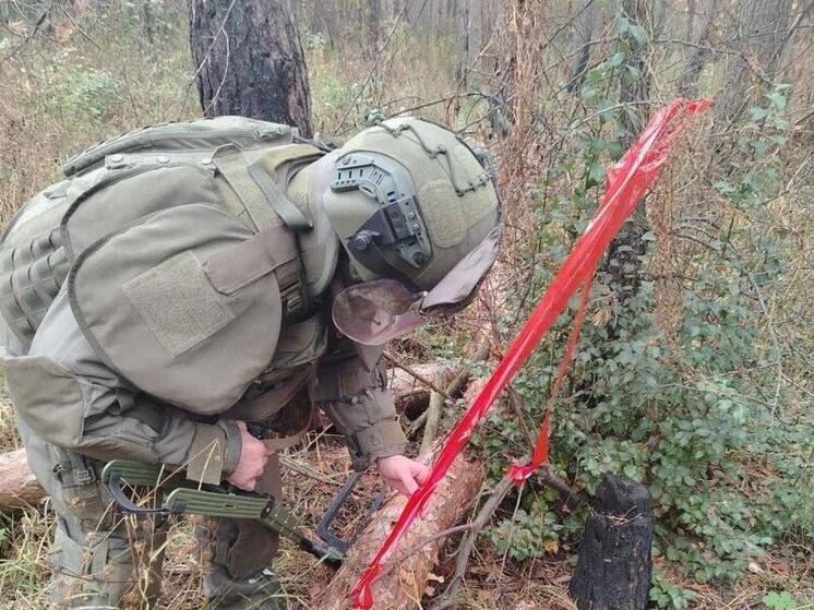 За неделю в курском приграничье обнаружили 292 взрывоопасных предмета