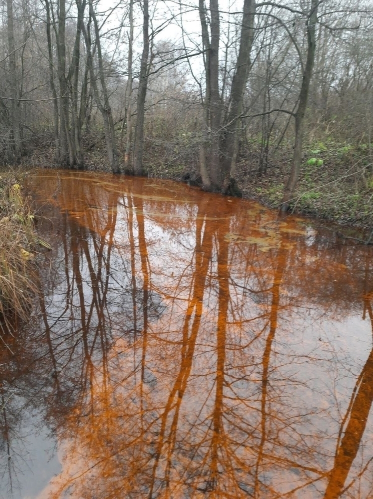 Нижегородцы обратились к губернатору из-за загрязнения реки