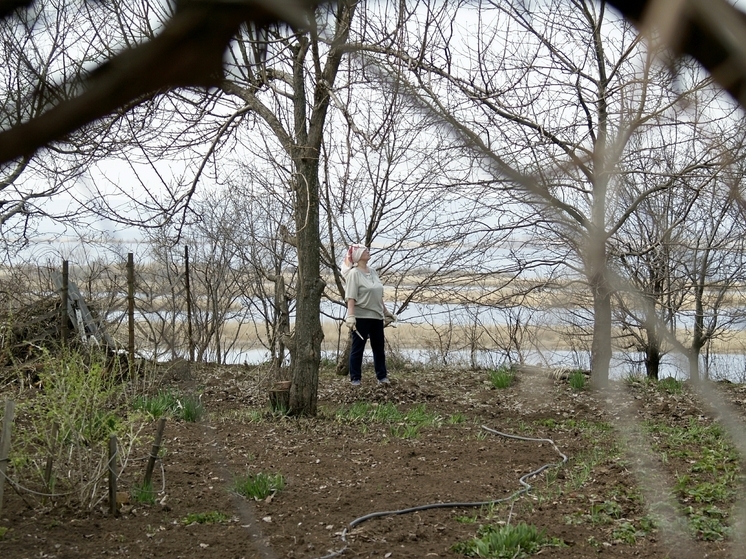 Садовод Железов объяснил, почему осенняя обрезка деревьев опасна