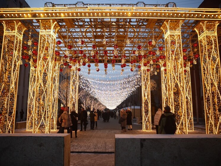 Улица Ленина в Новосибирске стала пешеходной с 10 ноября