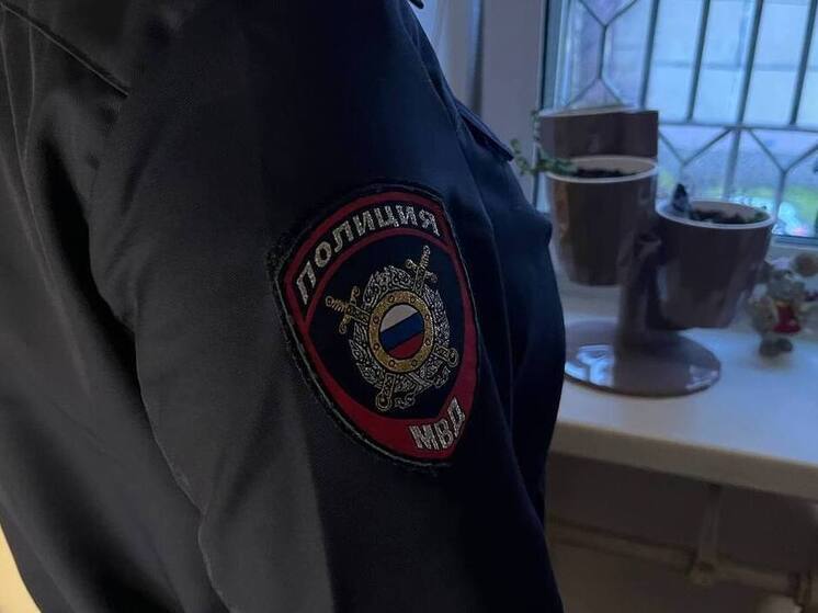 Пьяный северянин ударил полицейского и заплатит крупный штраф