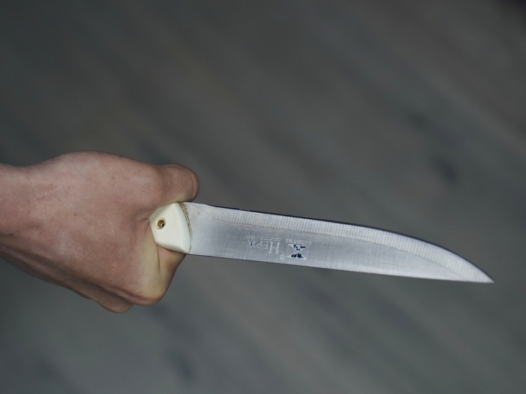 Мать напавшего на семью под Тулой заявила, что ее сына «довели»