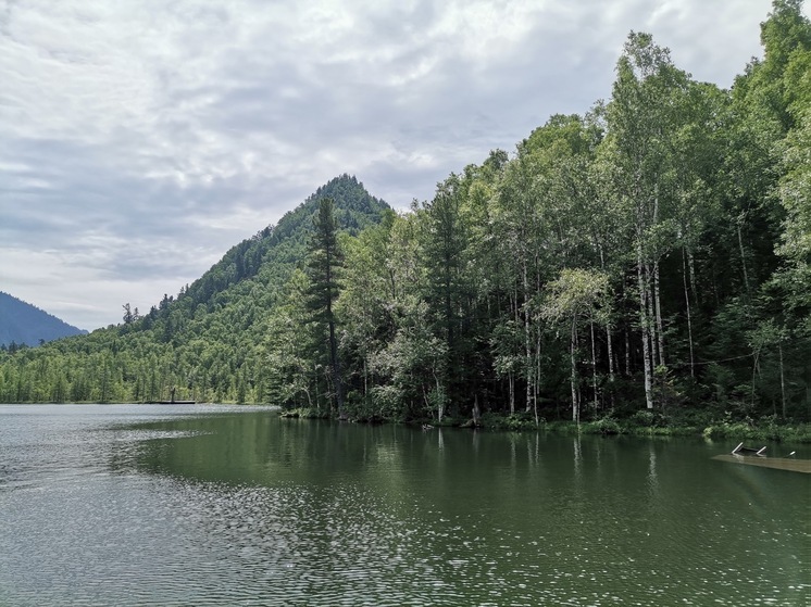 Народный фронт добился взыскания 1,5 млн рублей за ущерб реке Снежная на Байкале