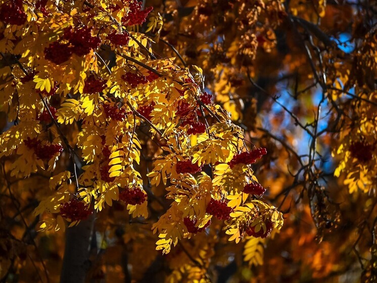 Приметы на день Параскевы-Пятницы: что нельзя делать 10 ноября 2025 года