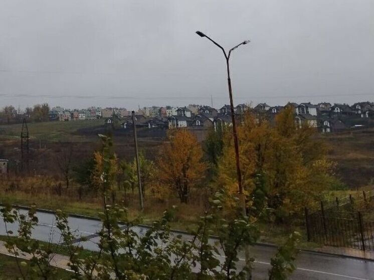 В Белгородской области новая неделя начнется с дождей и тумана