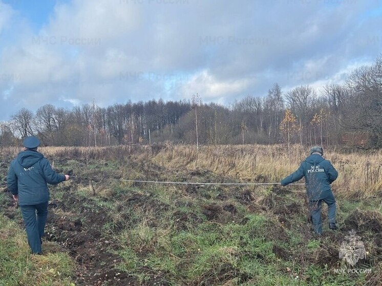 Спасатели проверили противопожарные полосы в тульском Заречье