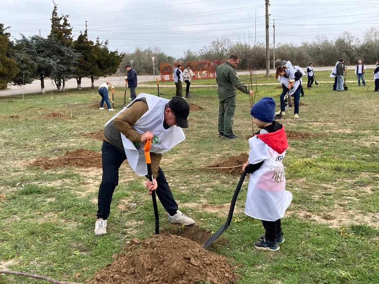 Ветераны СВО и студенты Геническа высадили 80 кленов в «Саду Памяти»