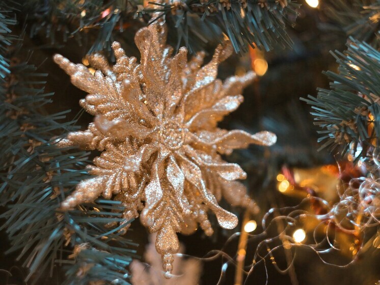 В Липецке начали устанавливать арт-инсталляции к Новому году