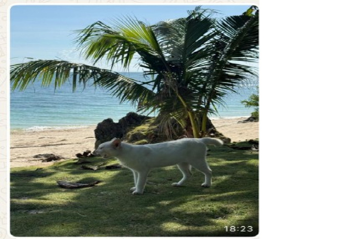 Карельские туристы не заметили тайфун на Филиппинах